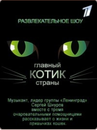 Главный котик страны (1 сезон)