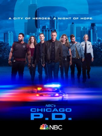Полиция Чикаго (7 сезон)