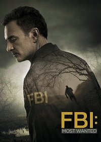 ФБР: Самые разыскиваемые преступники (1 сезон)