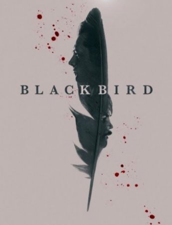 Черная птица (1 сезон)